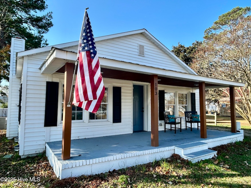 103 W 5th St, Hobgood, NC 27843 - photo 1