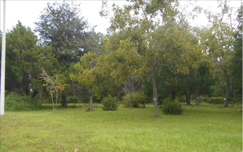 unlisted-address, Lake City, FL 32055 - photo 1