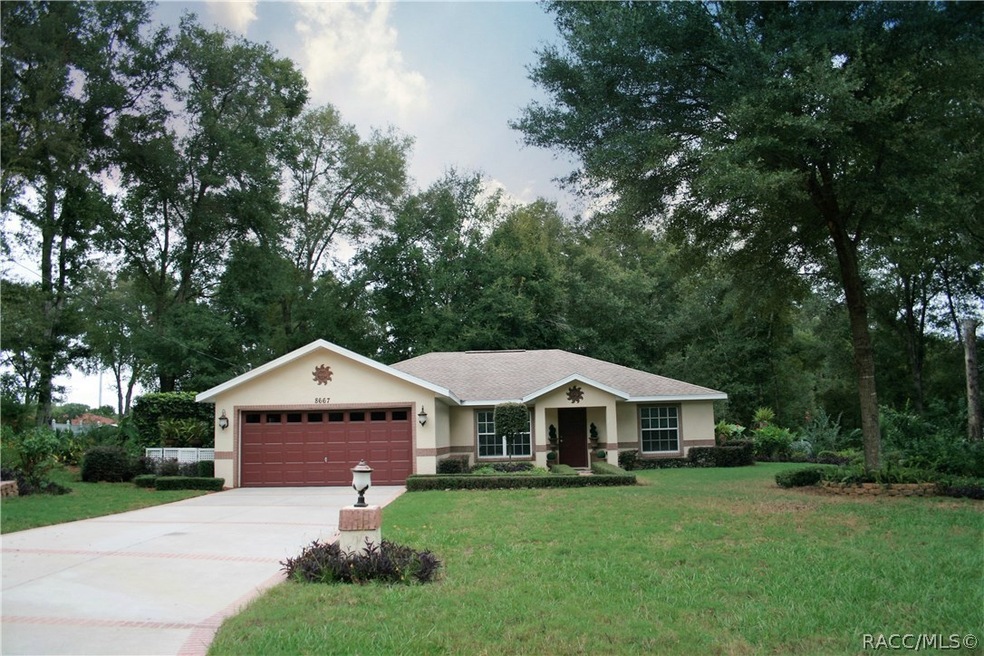 8667 N Upland Dr, Citrus Springs, FL 34434 - photo 1