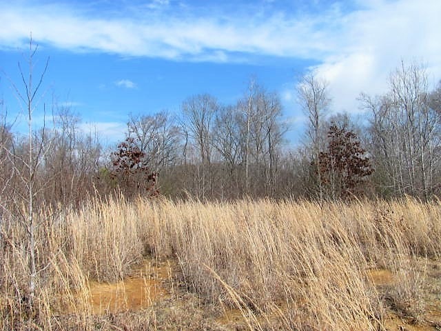 0 Highway 147 unit 2128486, Stewart, TN 37175 - photo 1