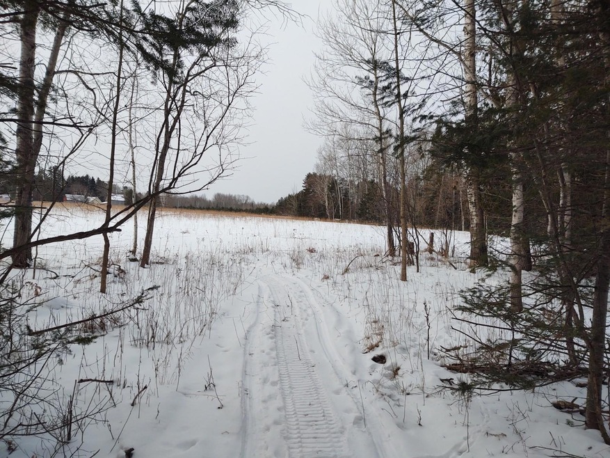 41 acres on S Rogers Road