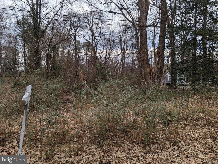 0 San Pedro Dr unit VAWE2007976, Colonial Beach, VA 22443 - photo 1