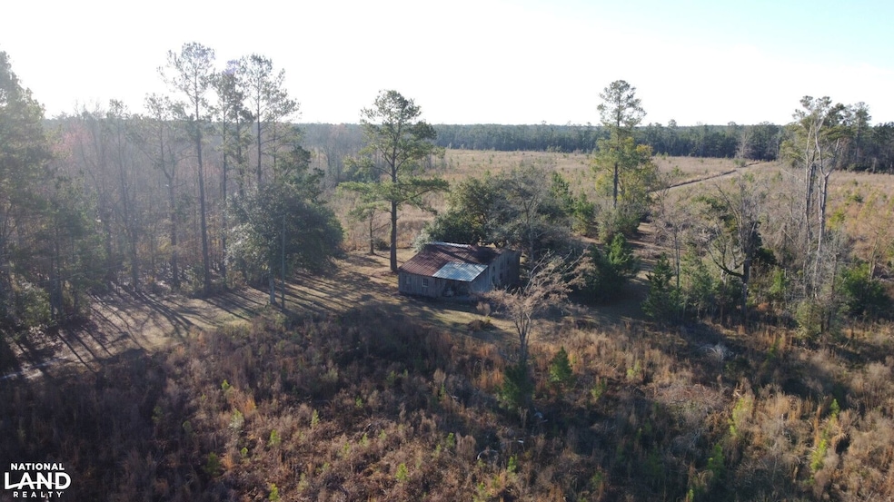 217 Wadboo Plantation Rd, Saint Stephen, SC 29479 - photo 1