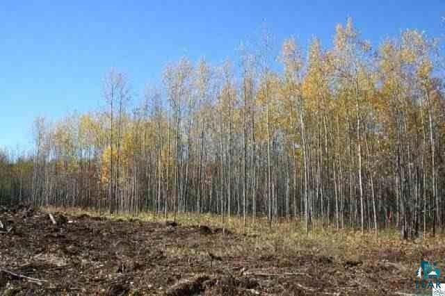 XXX Trails End Dr unit Block 5, Lot 5, Hermantown, MN 55811 - photo 1