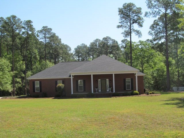 Main View