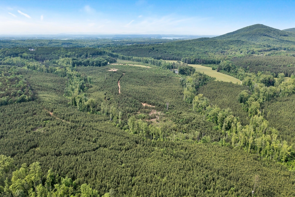 Tract B W Gretna Rd, Penhook, VA 24137 - photo 1