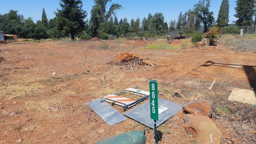 8645 Skyway, Paradise, CA 95969 - photo 1