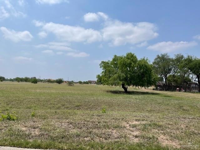 503 S 5th St, Donna, TX 78537 - photo 1