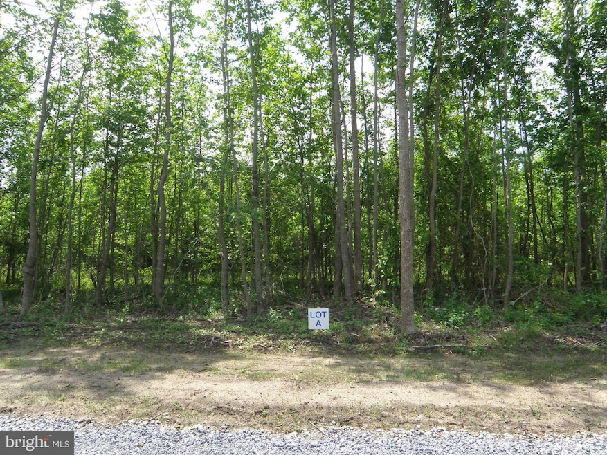 LOT A Shortly Rd, Georgetown, DE 19947 - photo 1