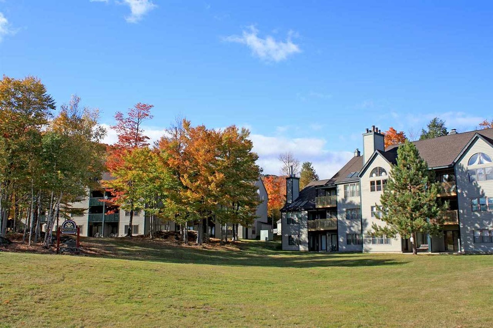 58 Harrison Ln unit K301, Ludlow, VT 05149 - photo 1