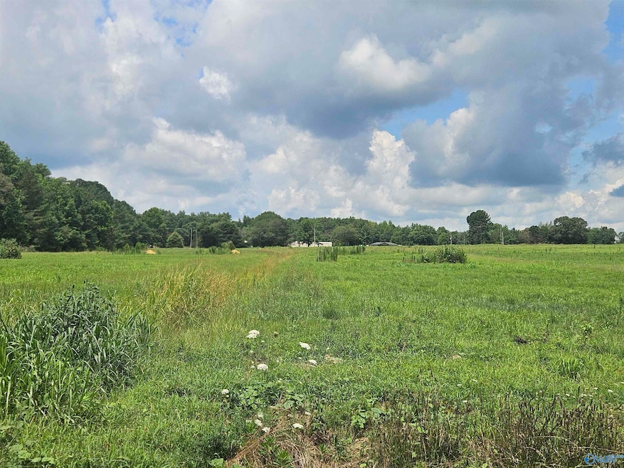 Lot 3 Scott Rd, Hazel Green, AL 35750 - photo 1