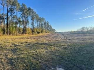 00 Satilla Church Rd, Wray, GA 31798 - photo 1