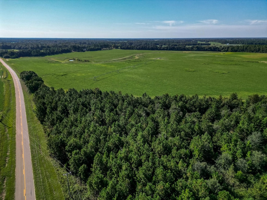 Pullen Rd, Damascus, GA 39841 - photo 1