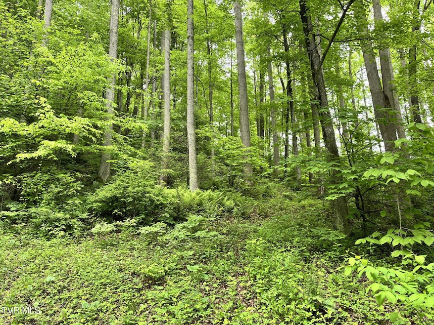 15 acre tract timber