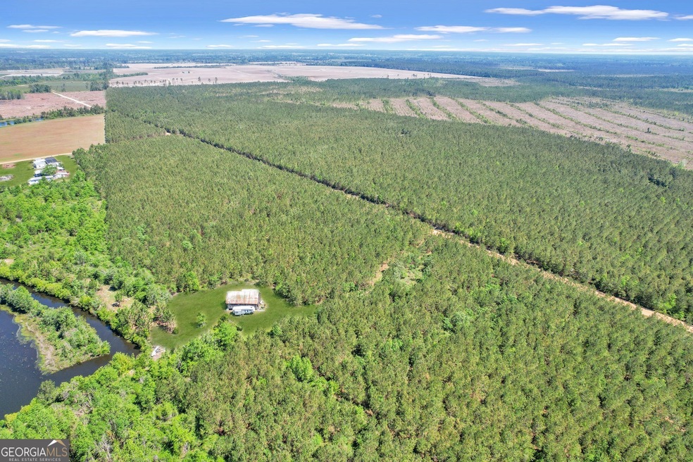 TRACT 7 Sanderling Rd, Alma, GA 31510 - photo 1