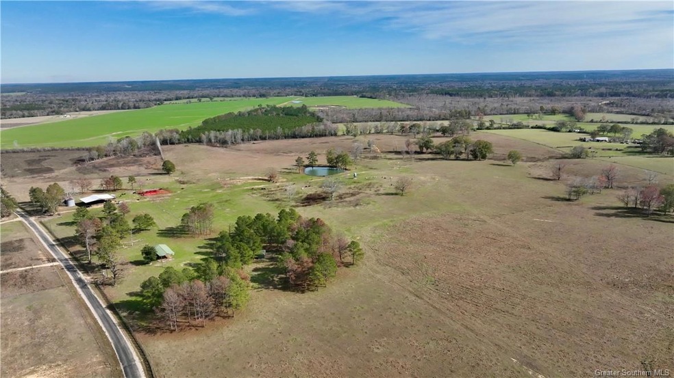 1 Minnie Fortenberry Rd