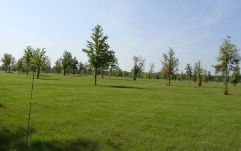 LOT53 Mandiba Dr, Lake City, FL 32024 - photo 1