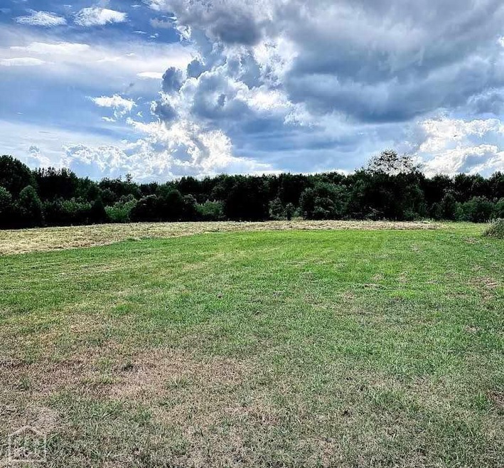 0 Acres Cr 796, Jonesboro, AR 72401 - photo 1