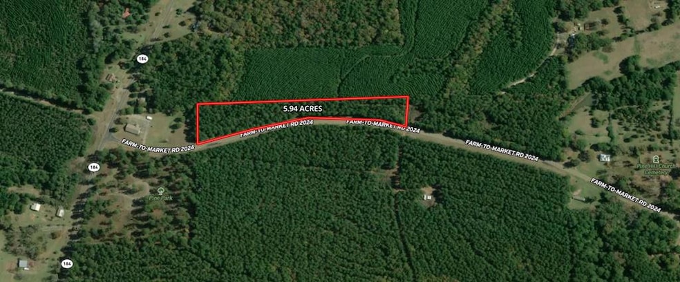 TBD Farm To Market 2024, Hemphill, TX 75968 - photo 1