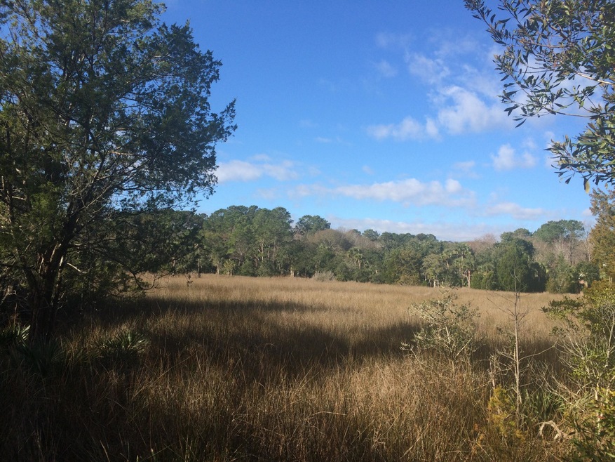 1605 Sewee Fort Rd. Marsh View