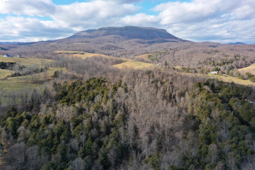 DJI_0977