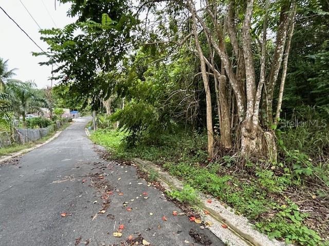 0 Campo Nuevo-Azucena 2 unit MFRPR9111923, Vega Alta, PR 00692 - photo 1