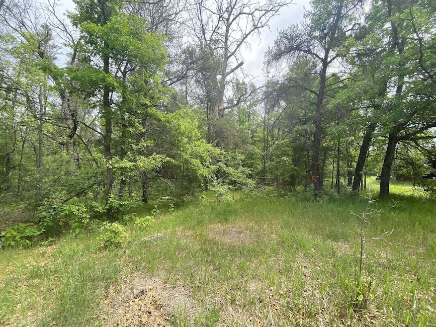 0 Stitt Ln unit 201835231, Mio, MI 48647 - photo 1