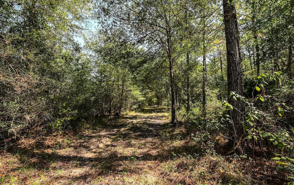 0 Texas 105, Hull, TX 77564 - photo 1