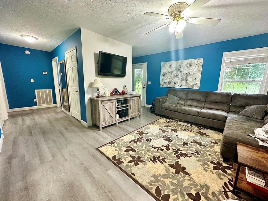 65 Pleasant Hill Rd, Springville, TN 38256 - photo 1