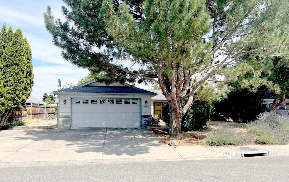 1258LookingGlass-F1