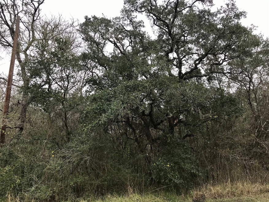 TBD Primero Dr, Brazoria, TX 77422 - photo 1