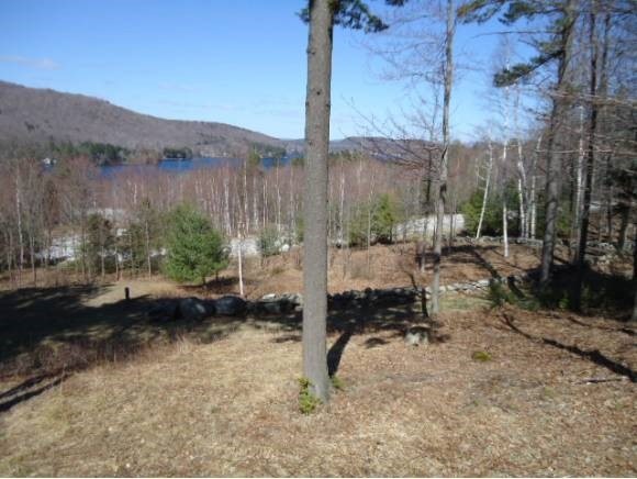 0 Blye Hill Landing unit 4230034, Newbury, NH 03255 - photo 1