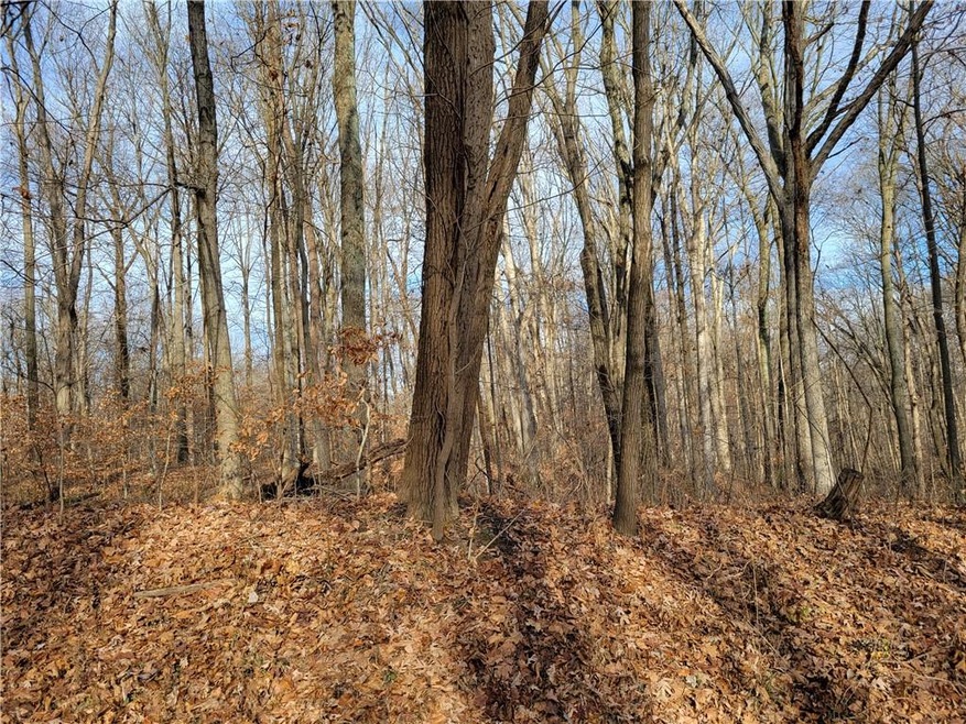 1241 E Mohican Trail, Fugit Township, IN 47240 - photo 1