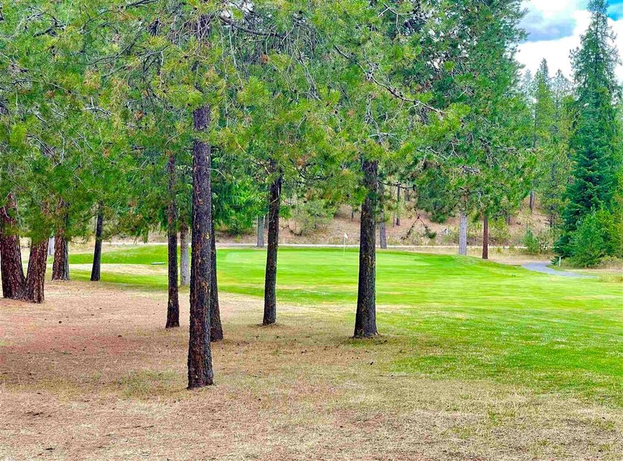0000 Couples Ct Lot 4 Ct, Chewelah, WA 99109 - photo 1