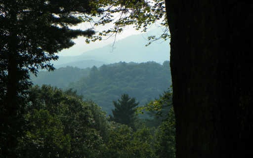 Main View