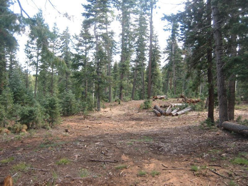 Driveway into Lot