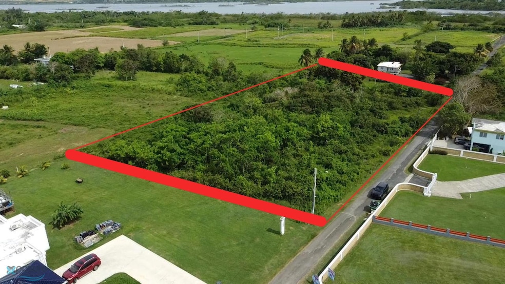 Parcela Camino Los Nieves unit 3, Arecibo, PR 00612 - photo 1