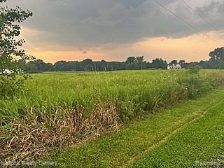 00 W Vogt Rd, Conway Township, MI 48836 - photo 1