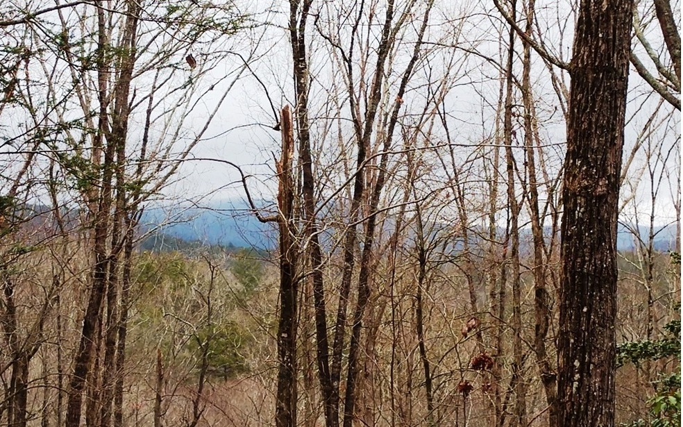 L288 Evening Shadows Rd, Morganton, GA 30560 - photo 1