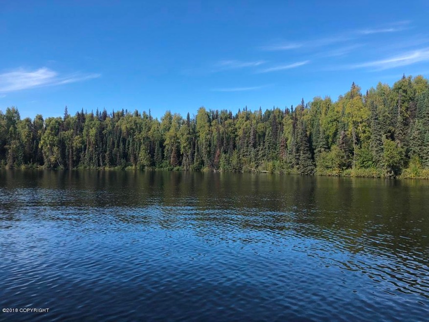 Lot from Nancy Lake