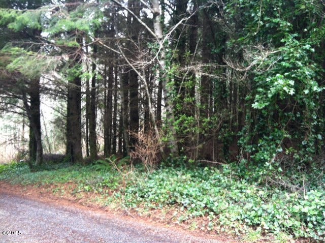 View to the East from the SW corner