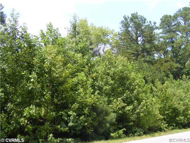 13100 Pole Run Rd, Disputanta, VA 23842 - photo 1