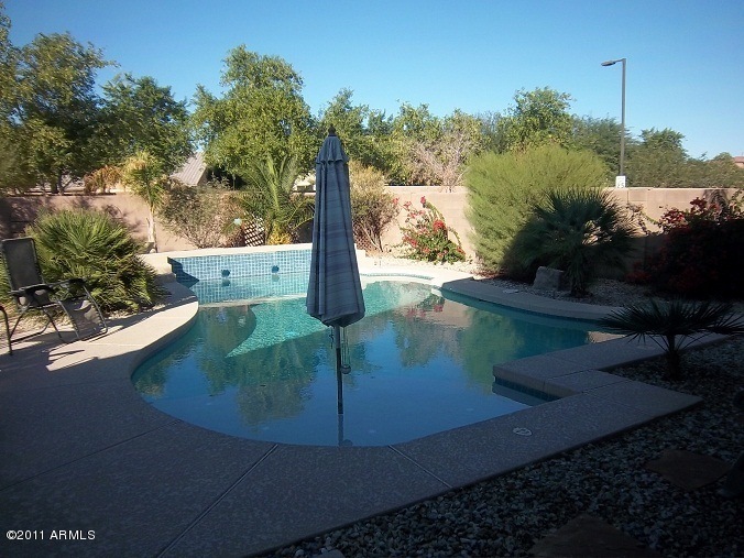 Back Yard 2