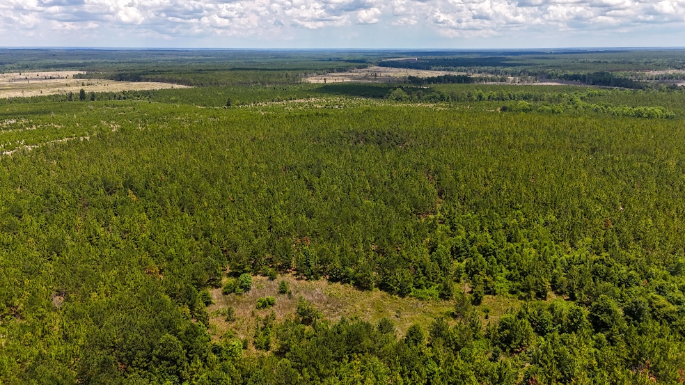 0 Beaver Dam Rd unit 25030820, Cassatt, SC 29032 - photo 1