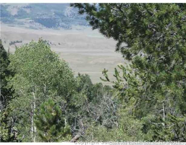 825 Osprey Rd, Como, CO 80432 - photo 1