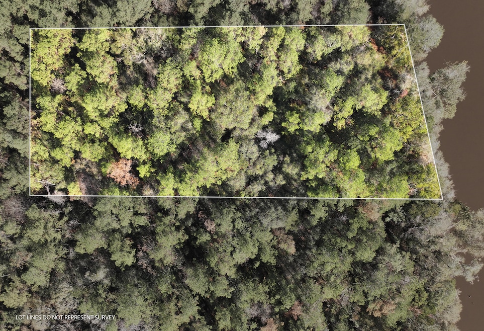 Old_Hwy_24_W_Lot_29-1