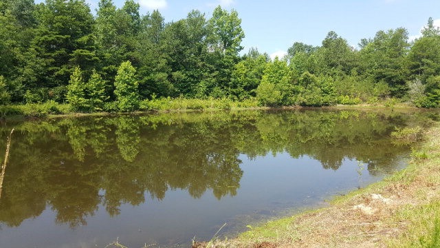 1174 Walter Jenkins Rd, Ruth, MS 39662 - photo 1