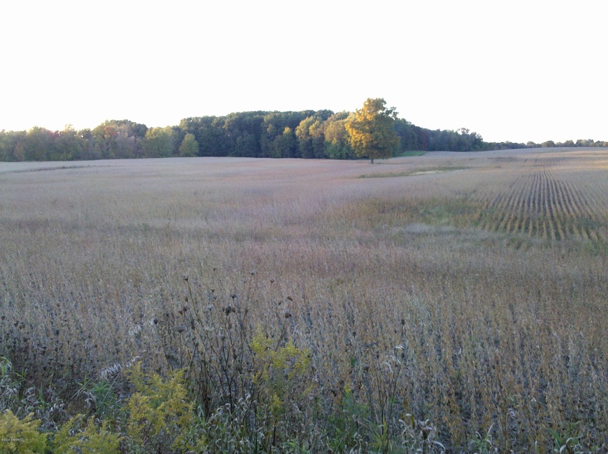 sisson_rd_looking_north