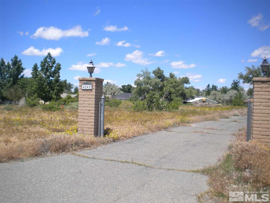 4290 Alcorn Rd, Fallon, NV 89406 - photo 1