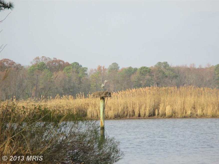 21630 Hill Ln, Rock Hall, MD 21661 - photo 1